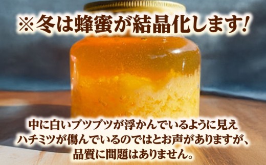 はちみつ ハチミツ 蜂蜜 ハニー ミツバチ 国産 国産蜂蜜 百花蜜 島根県 雲南