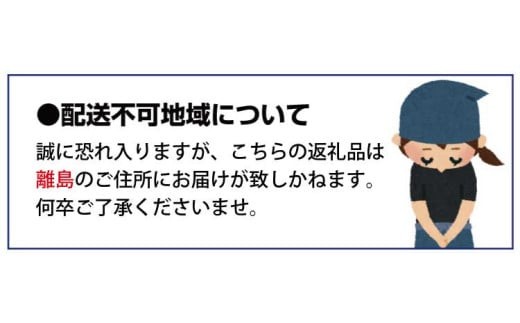 配送不可地域について