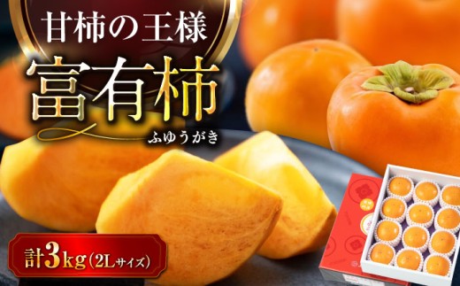 [先行予約][11月上旬から順次発送] 富有(ふゆう)柿 2Lサイズ 約3kg 化粧箱入(12玉入り)愛媛県大洲市/愛媛たいき農業協同組合[AGAO011] 柿 かき カキ 果物 くだもの フルーツ 愛媛県産 大洲市産 産地直送 おすすめ 人気 お取り寄せ 送料無料 贈答 ギフト