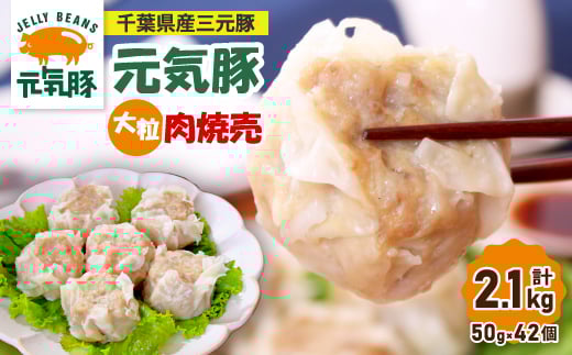＜千葉県産三元豚＞元気豚 大粒肉焼売(シューマイ)セット　2.1kg(50g×42個)_ シュウマイ シューマイ 焼売 大粒 肉焼売 おかず 総菜 おつまみ 冷凍 三元豚 贈答 ギフト 元気豚 国産 人気 おすすめ 送料無料 【1032621】