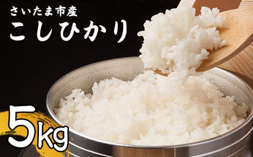 [事前予約][新米][特別栽培米]令和7年さいたま市産こしひかり 5kg [11100-1875]