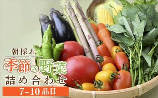茂木町産 朝採れ 季節の野菜詰め合せ｜野菜 詰合せ 詰め合わせ セット 季節 旬 産地直送 春野菜 夏野菜 秋野菜 新鮮野菜 とうもろこし じゃがいも かぼちゃ ブロッコリー 大根 白菜 季節の野菜 国産野菜 栃木県 茂木町 もてぎプラザ