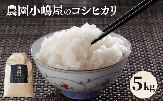 【先行予約】令和7年産新米　 農園小嶋屋の五泉産コシヒカリ 5kg [2025年10月下旬以降順次発送] 2188116 - 新潟県五泉市