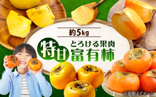 先行予約 【令和7年11月中旬以降発送】 福山市産 富有柿 5.0kg 広島県福山市/株式会社フジ・アグリフーズ 柿 かき 甘柿 甘がき フユウガキ [BAGF003]