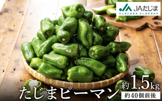 関西有数のピーマン産地！濃い緑で肉厚！ たじまピーマン 約1.5kg