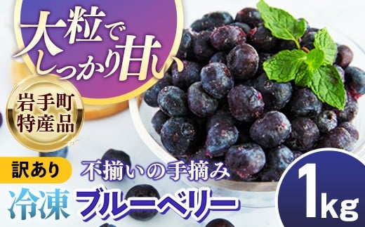 【岩手町産】冷凍ブルーベリー 1kg【訳あり】 冷凍 家庭用 大粒 不揃い 果物 フルーツ 国産 岩手県産 フローズン おやつ デザート 岩手県 岩手町 2194381 - 岩手県岩手町