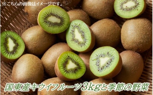 【先行予約】国東産キウイフルーツ3kgと季節の野菜_2595R