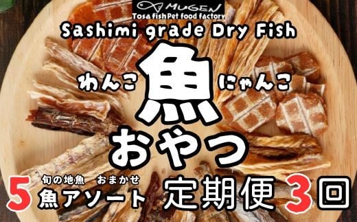 M196【お魚100％・ペットのおやつ】手作り 無添加ペットフード　旬の5魚アソート 定期便3回　犬と猫のおやつ 435359 - 高知県東洋町