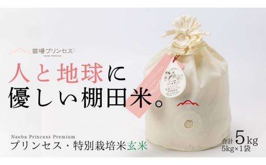 【2025年産新米】【農薬化学肥料5割減】魚沼産コシヒカリ 苗場プリンセス 特別栽培米 玄米 5kg（5kg×1袋） コットン袋入り 1149107 - 新潟県津南町