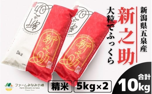 令和7年産 新之助 精米 10kg 新潟県 五泉市 ファームみなみの郷 1422762 - 新潟県五泉市