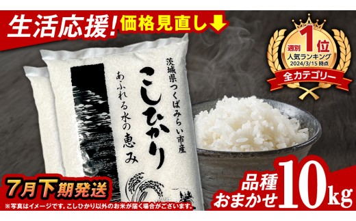 【 7月下期発送 / 数量限定 】茨城県つくばみらい市産 精米 10kg (品種おまかせ） 令和6年産 こしひかり 米 コメ こめ 単一米 限定 茨城県産 国産 美味しい お米 おこめ おコメ