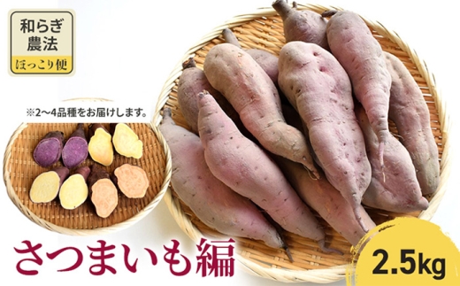【2025年10月頃より順次発送】和らぎ農法　ほっこり便　さつまいも編　2.5kg 栗東市 / 株式会社　ワダケン [BIBM007] 1120154 - 滋賀県栗東市