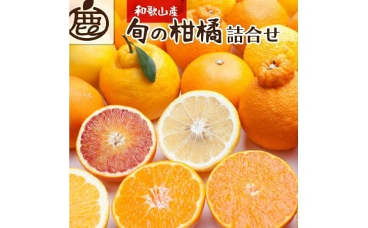 ［先行予約］家庭用 柑橘詰合せ10kg+250g（傷み補償分）［訳あり わけあり］［有田の春みかん詰め合わせ・フルーツ詰め合せ・オレンジつめあわせ］［光センサー選別］［IKE261］