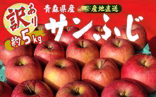 <訳あり>青森県産りんご「サンふじ家庭用」約5kg 産地直送!【1517224】 1521961 - 青森県黒石市