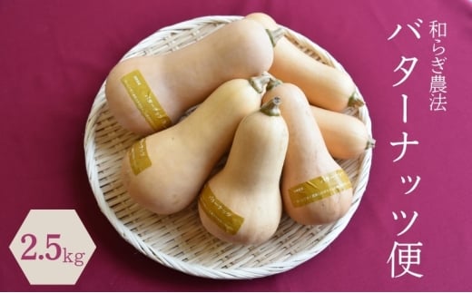 【2025年9月下旬頃より順次発送】和らぎ農法　バターナッツ便（約2.5kg）  栗東市 / 株式会社　ワダケン [BIBM014] 1941652 - 滋賀県栗東市