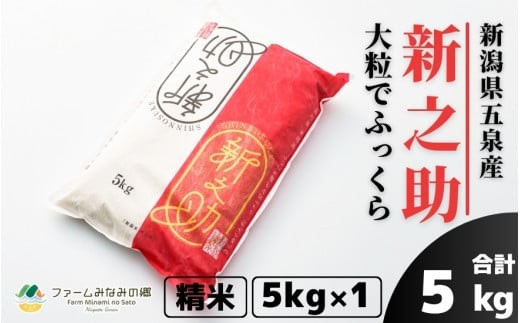 令和7年産 新之助 精米 5kg 新潟県 五泉市 ファームみなみの郷 1422760 - 新潟県五泉市