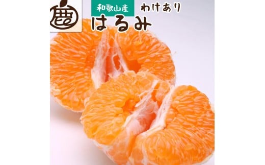 ［先行予約］家庭用 はるみ10kg+250g（傷み補償分）［デコポンの姉妹品種・新食感春みかん］［光センサー選別］［わけあり・訳あり］［IKE270］