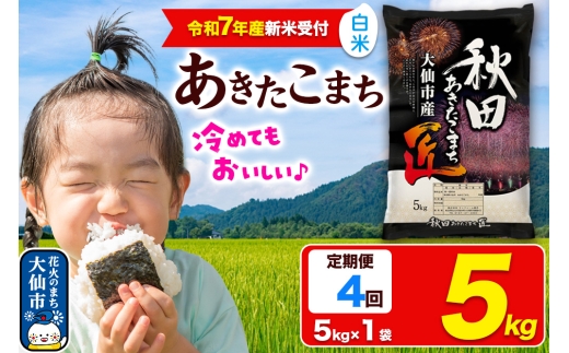 ＜令和7年産 新米受付＞《定期便4ヶ月》米【白米】秋田県大仙市産 あきたこまち 精米 5kg 令和7年産 2187368 - 秋田県大仙市