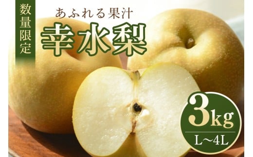 [数量限定・先行予約] 梨 幸水 選べる 3kg〜5kg (3kg L〜4L 7〜10玉 / 5kg L〜4L 11〜18玉) なし ナシ 果物 フルーツ 国産 [令和7年8月10日〜9月末発送予定] 70-SKU-2