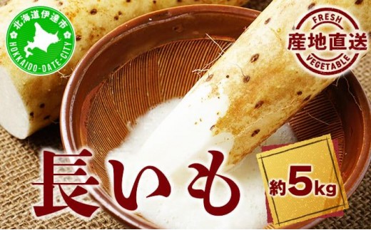 北海道 農園直送 長芋 5kg 北海道産 長いも 芋 ながいも とろろ 一本もの 新鮮 フレッシュ 伊達野菜 野菜 農作物 産直 山芋 麦とろ 山かけ サラダ ステーキ おつまみ おかず 贈答用 ギフト 化粧箱入り 送料無料