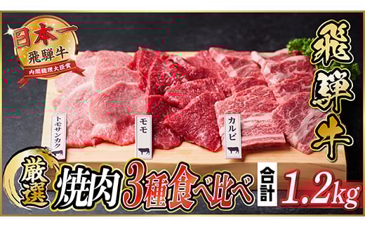 飛騨牛　焼肉厳選3種食べ比べセット(カルビ・トモサンカク・モモ)　約1.2kg【1531176】 1422191 - 岐阜県羽島市