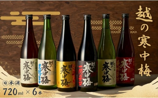 日本酒 越の寒中梅 6種類飲み比べセット 720ml×6本 淡麗辛口 新潟銘醸 【0002-0085-01】 951687 - 新潟県小千谷市