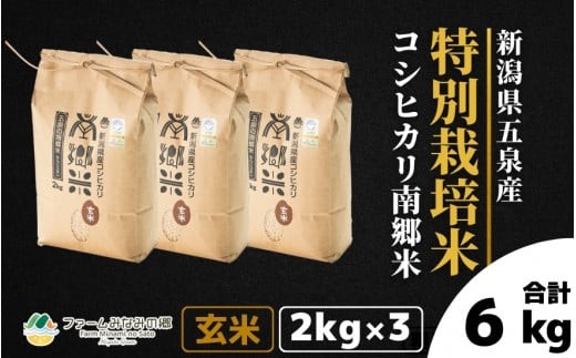 令和7年産 特別栽培米 新潟県五泉産コシヒカリ 「南郷米」 玄米 6kg 新潟県 五泉市 ファームみなみの郷 1422757 - 新潟県五泉市
