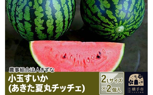 《7月下旬より順次発送》小玉すいか（あきた夏丸チッチェ）2Lサイズ2個入 1022710 - 秋田県横手市