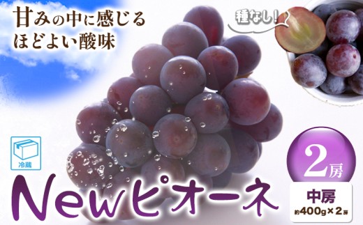 ぶどう New ピオーネ中房2房(約400g×2房) ふじまる[8月下旬-9月下旬頃出荷]岡山県 笠岡市 送料無料 葡萄 フルーツ 果物 ニューピオーネ お取り寄せフルーツ
