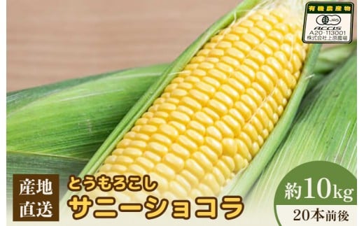 [先行予約]上原農場直送 有機栽培とうもろこし (サニーショコラ) 約10kg 約20本前後 | ふるさと納税 北海道 中標津 なかしべつ とうもろこし サニーショコラ とうきび コーン 野菜 夏野菜 夏 産地直送 新鮮 採れたて 朝採れ 甘い オーガニックお取り寄せ ワンストップ マイページ 上原農場 中標津町[66020]