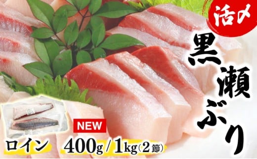 KU281[数量限定]高評価!活じめ!黒瀬ぶりの生鮮ブリロイン 2節 400g 1kg 刺身やぶり丼、カルパッチョやサラダなどに!