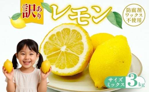 訳ありレモン 3kg ワックス 防腐剤不使用 サイズミックス カラーミックス グリーンレモン イエローレモン 柑橘 傷 不揃い レモン 檸檬 れもん  サイズミックス 規格外 常温 愛南町 青果市場 愛媛県 