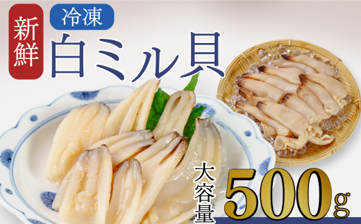 山口 宇部産 新鮮 白ミル貝 約500g【山口 宇部産 新鮮 白ミル貝 山口県 宇部市 鍋 新鮮 鮮魚 貝 魚介 シーフード 刺身 ソテー 揚げる 煮る おかず 産地直送 白 ミル貝 調理方法 美味しい】