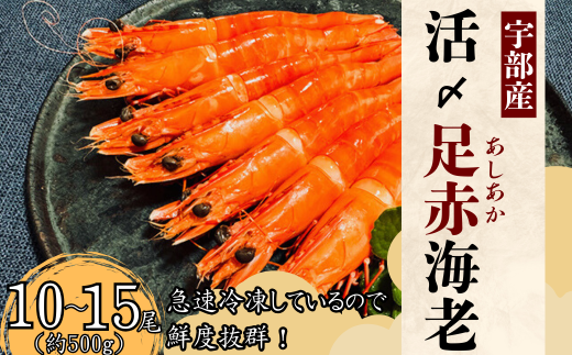 【活き〆】冷凍 足赤えび 500g　【えび エビ 海老 足赤えび 足赤エビ 足赤海老 クマエビ 海鮮 冷凍 急速冷凍 宇部産 茹でえび エビフライ 塩焼 天ぷら お鍋 鮮度抜群 海の幸 簡単調理 プリプリ食感】