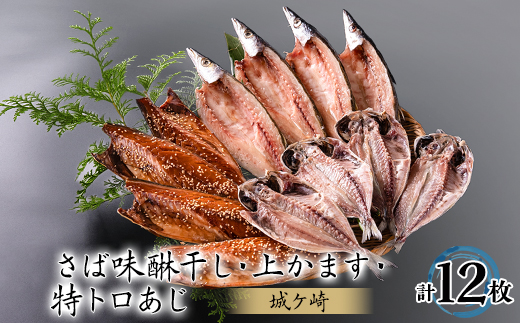 12枚入干物セット＜城ヶ崎＞特トロあじ・さばの味醂干し・上かます　各4枚伊豆・伊東の干物詰め合わせ【1607069】 2067629 - 静岡県伊東市