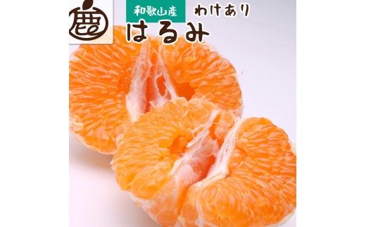 ［先行予約］家庭用 はるみ10kg+250g（傷み補償分）［デコポンの姉妹品種・新食感春みかん］［光センサー選別］［わけあり・訳あり］［IKE270］ 2187236 - 和歌山県印南町