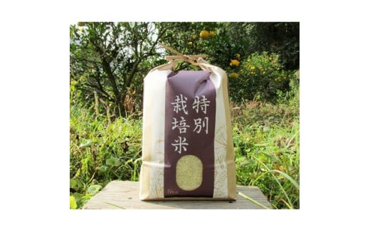 【令和7年産】『タガメの里・自然米』にこまる 白米5kg【有機JAS認証米】 | お米 おこめ 米 コメ こめ にこまる 白米 精米 有機JAS認証米 兵庫県 上郡町											