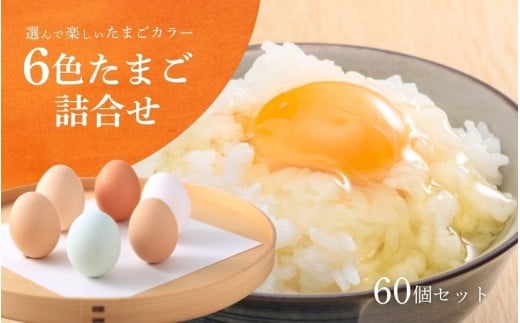 キムラファームの産みたて卵 6色たまご詰合せ 60個 産みたてたまご たまご 卵 玉子 タマゴ 鶏卵 オムレツ 卵かけご飯 たまご焼き 新潟県 五泉市 先行予約（2025年9月以降順次発送）