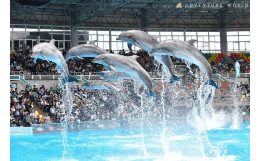 白浜町ふるさと納税 アドベンチャーワールド入園引換券 大人 （18歳上） ペアチケット 2187551 - 和歌山県白浜町