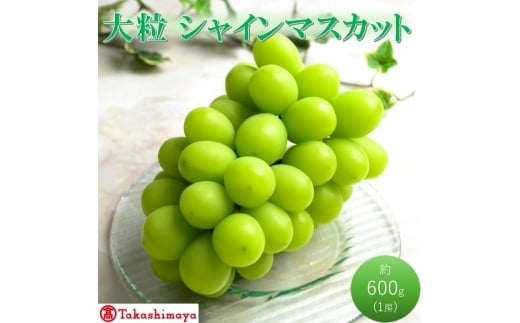 [高島屋選定品]大房 シャインマスカット 約600g×1房 岡山県高梁市産 個装箱入り 葡萄 ブドウ 贈り物