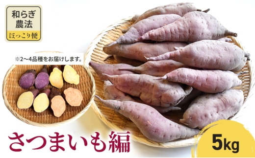 【2025年10月頃より順次発送】和らぎ農法　ほっこり便　さつまいも編　5kg 栗東市 / 株式会社　ワダケン [BIBM008] 1120155 - 滋賀県栗東市
