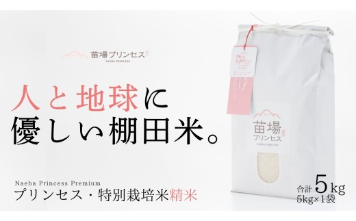 【2025年産新米】【農薬化学肥料5割減】魚沼産コシヒカリ 苗場プリンセス 特別栽培米 精米 5kg（5kg×1袋） 714301 - 新潟県津南町