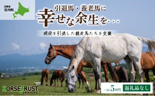 【引退競走馬 余生支援】北海道 岩内町 ホーストラスト北海道支援 5万円コース 引退馬 F21H-558 986523 - 北海道岩内町