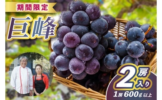 【ふるさと納税】レストランのプロが育てる！鹿嶋市産 ぶどうの王様「巨峰」2房(大粒600g以上/房) (KAE-16)
