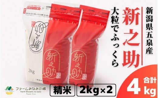 令和7年産 新之助 精米 4kg 新潟県 五泉市 ファームみなみの郷 1422759 - 新潟県五泉市