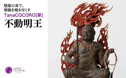 TanaCOCORO[掌] 不動明王 | 仏像 守護神 風水 金運 開運 厄除け 本格 仏教 高級 アート デザイン お守り 縁起物 美術 インテリア雑貨 プレミアム 置物 家庭用 東松山イスム 仏像フィギュア インテリア仏像 株式会社MORITA 埼玉県 東松山市 2258488 - 埼玉県東松山市