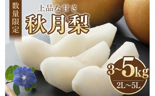 [数量限定・先行予約] 梨 秋月 選べる 3kg〜5kg (3kg 2L〜5L 6〜9玉 / 5kg 2L〜5L 11〜16玉) なし ナシ あきづき アキヅキ 果物 フルーツ 国産 [9月10日〜10月末発送予定] 70-SKU-1
