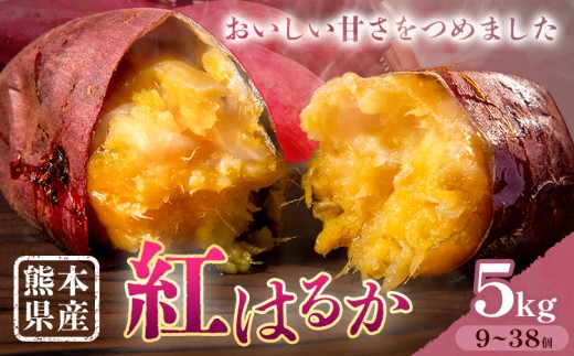 さつまいも 熊本県産 紅はるか 5kg 日本フルーツ株式会社《11月下旬-6月上旬頃出荷》熊本県 大津町 さつまいも 薩摩芋 からいも 紅はるか デザート 料理 おやつ 蜜芋 野菜 芋 いも 2191368 - 熊本県大津町