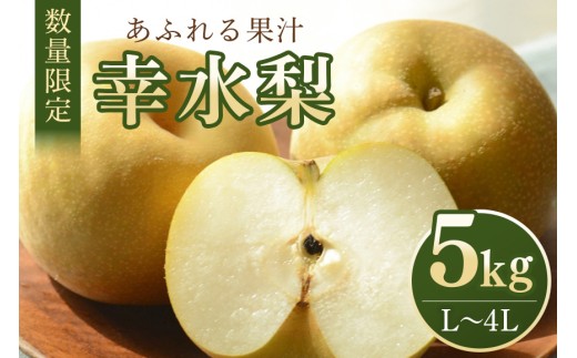 【数量限定・先行予約】 梨 幸水 5kg L～4L 11～18玉 なし ナシ 果物 フルーツ 国産 【8月10日～9月末発送予定】 70-M