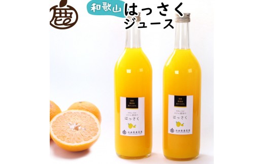 無添加はっさくジュース 約720ml×2本［IKE262］ 2187655 - 和歌山県九度山町